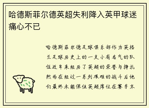 哈德斯菲尔德英超失利降入英甲球迷痛心不已
